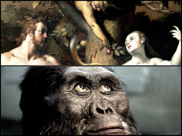創造論のアダムとイブ、猿からの進化論、どちらが人類誕生の真実か？