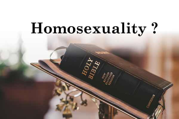聖書は同性愛を本当に罪だと教えているか？ ―キリスト教の疑問