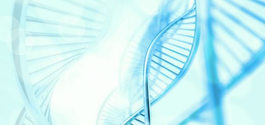 最新の遺伝子研究がダーウィンを進化論を否定？生命の90%はヒトと同時期に出現した