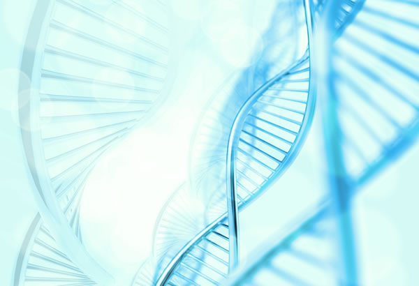 最新の遺伝子研究がダーウィンを進化論を否定？生命の90%はヒトと同時期に出現した